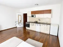Pronájem bytu 1+kk, Plzeň, Veverkova, 38 m2