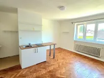 Pronájem bytu 1+kk, Dolní Lutyně, U Stanoviště, 35 m2