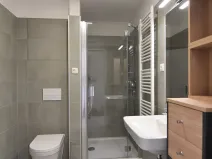 Pronájem bytu 1+kk, Brno, Reissigova, 42 m2