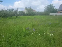 Prodej pozemku pro bydlení, Dlouhá Loučka, 1890 m2
