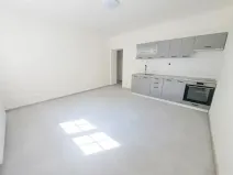 Pronájem bytu 1+1, Plzeň, Mánesova, 45 m2