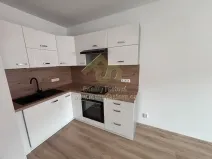 Pronájem bytu 2+kk, Plzeň, Plzenecká, 42 m2