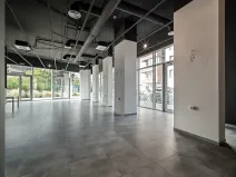 Pronájem restaurace, Praha - Holešovice, V háji, 240 m2