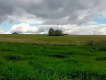 Prodej louky, Sloup v Čechách, 137278 m2