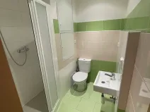 Pronájem bytu 1+kk, Dobřany, 17. listopadu, 19 m2