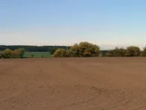 Prodej pozemku, Bělušice, 5525 m2