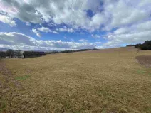 Prodej pozemku, Bělá nad Radbuzou - Čečín, 6857 m2