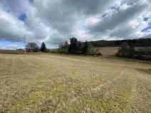 Prodej pozemku, Bělá nad Radbuzou - Čečín, 6857 m2
