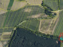 Prodej lesa, Zábřeh, 1123 m2