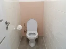 Pronájem bytu 3+kk, Šumice, 100 m2