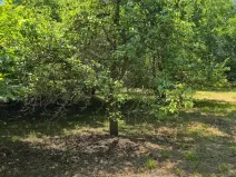 Prodej pozemku pro bydlení, Bukovina u Přelouče, 998 m2