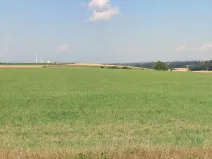 Prodej pole, Vysoká, 11301 m2