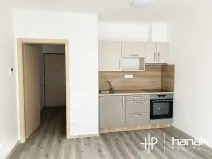 Pronájem bytu 1+kk, Olomouc, Eduarda Hamburgera, 26 m2