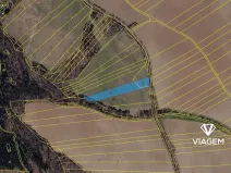 Prodej podílu pole, Škvorec, 2633 m2