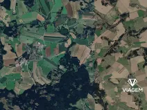 Prodej podílu lesa, Vyklantice, 1356 m2