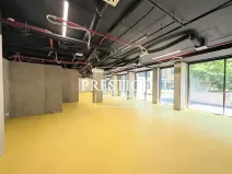 Pronájem obchodního prostoru, Praha - Karlín, Sokolovská, 210 m2