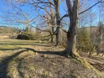 Dražba pozemku, Železná Ruda, 1644 m2