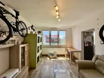 Prodej bytu 2+1, České Budějovice, Mánesova, 52 m2