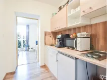 Pronájem bytu 1+kk, Olomouc, Schweitzerova, 24 m2