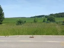 Prodej pozemku pro bydlení, Olešná, 935 m2