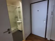 Prodej bytu 1+kk, Praha - Hodkovičky, Pod lysinami, 30 m2