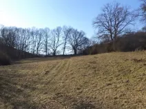 Prodej pole, Snědovice - Sukorady, 7345 m2