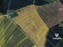 Prodej pole, Dolní Bojanovice, 1115 m2
