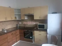 Pronájem bytu 2+1, Opava, Lepařova, 56 m2