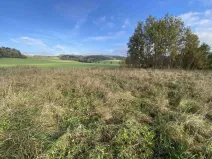 Prodej pozemku, Králíky - Horní Lipka, 3207 m2
