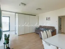 Pronájem bytu 2+kk, Praha - Žižkov, Olšanská, 61 m2