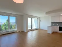 Pronájem bytu 3+kk, Brno, třída Generála Píky, 102 m2