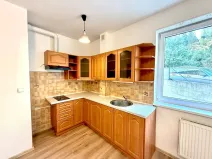 Pronájem bytu 1+kk, Praha - Libeň, Budilova, 39 m2