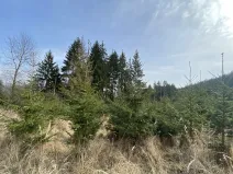 Prodej louky, Městečko Trnávka - Lázy, 1026 m2