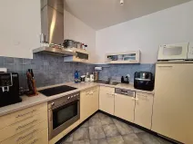 Pronájem bytu 1+kk, Brno - Líšeň, Holzova, 62 m2