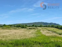 Prodej vily, Dolní Věstonice, Hlavní, 239 m2