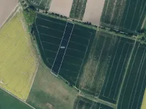 Prodej pole, Uhersko, 11302 m2