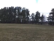 Prodej pozemku, Lužnice, 552 m2
