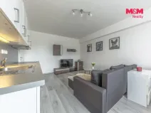 Prodej bytu 2+kk, Mladá Boleslav - Mladá Boleslav II, Jana Palacha, 42 m2