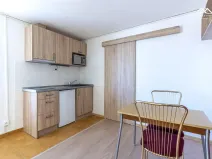 Pronájem bytu 1+kk, Chotěboř, Trčků z Lípy, 22 m2