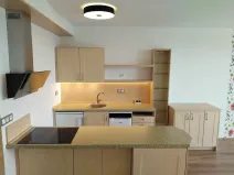 Pronájem bytu 2+kk, Plzeň, K Lutové, 51 m2