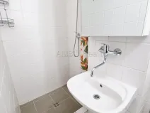 Pronájem bytu 1+kk, Praha - Hloubětín, Šestajovická, 30 m2