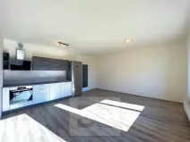 Pronájem bytu 1+kk, Praha - Čimice, Hrašeho, 46 m2