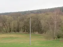 Dražba lesa, Ješetice, 8991 m2