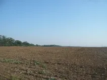 Prodej komerčního pozemku, Veltrusy, 3681 m2