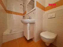 Pronájem bytu 1+kk, Chomutov, Březenecká, 30 m2