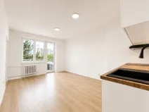 Prodej bytu 2+kk, Praha - Vršovice, U Slavie, 44 m2