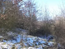 Dražba louky, Ústí nad Labem, 18942 m2