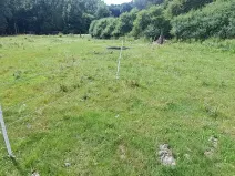Pronájem zahrady, Tišice, 1000 m2