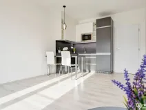 Pronájem bytu 1+kk, Olomouc, Věry Pánkové, 33 m2