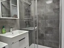 Pronájem bytu 2+1, Brno, Cejl, 53 m2